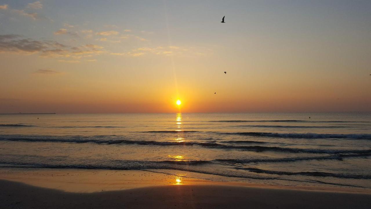 Sea North Apartament Mamaia Esterno foto